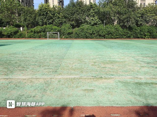 鞋子里面也