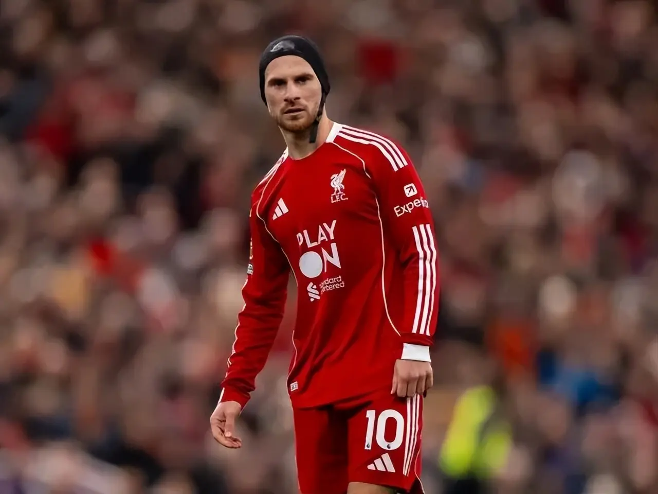 msn, 成鲜明对比, 显然想以伊